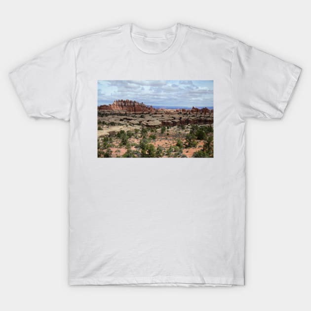 The Needles at Canyonlands, Another World T-Shirt by elisewied